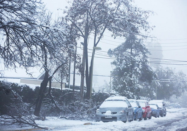 Energía en emergencia INMESOL en la mayor nevada registrada en Santiago de Chile en los últimos 10 años 3 Muchos de los árboles no resistieron el peso de la nieve. - Imagen: EPA